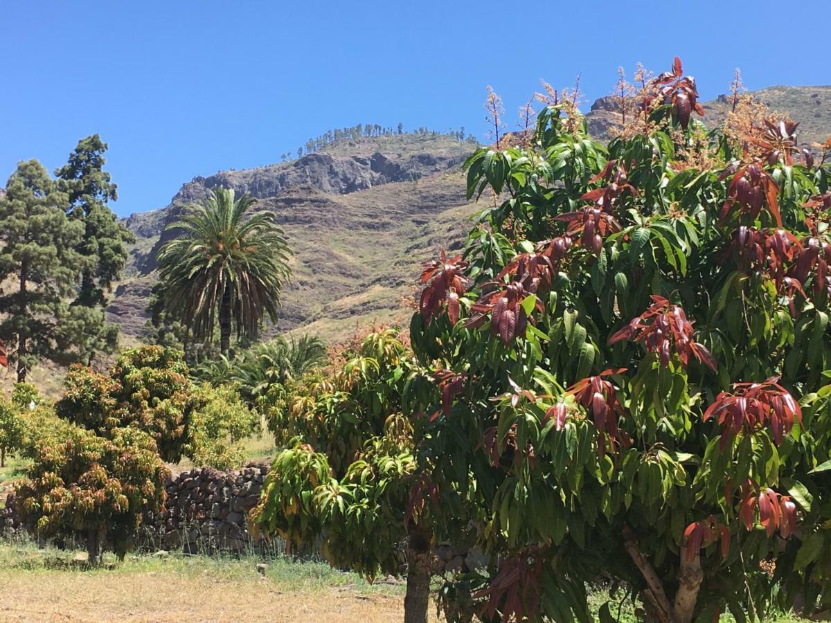 La Villa Mogán Esterno foto